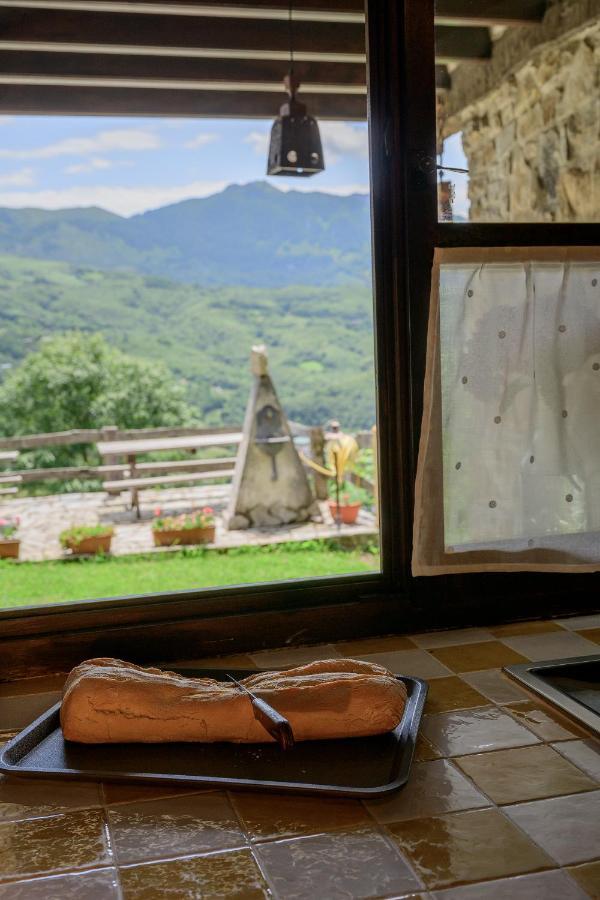 La Xamoca Apartamentos Rurales Campiellos Εξωτερικό φωτογραφία
