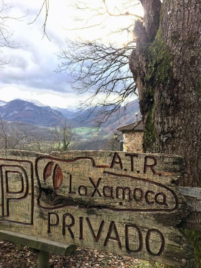 La Xamoca Apartamentos Rurales Campiellos Εξωτερικό φωτογραφία