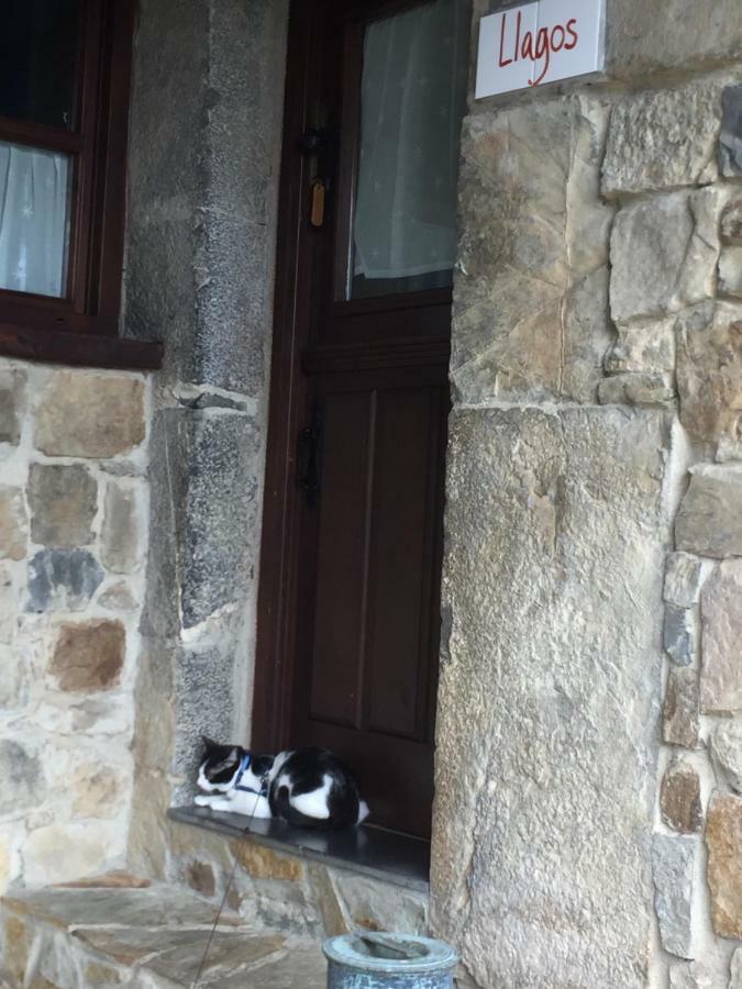 La Xamoca Apartamentos Rurales Campiellos Εξωτερικό φωτογραφία