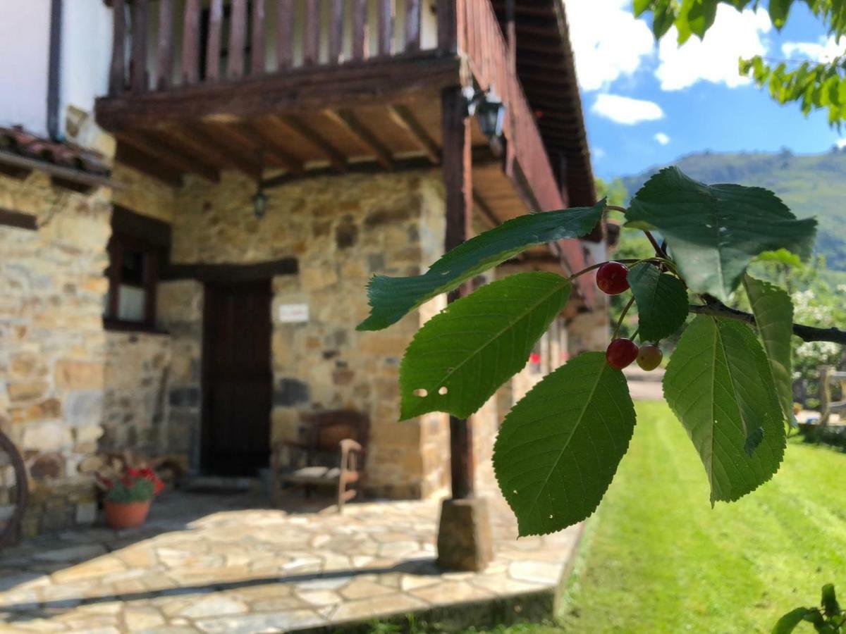 La Xamoca Apartamentos Rurales Campiellos Εξωτερικό φωτογραφία